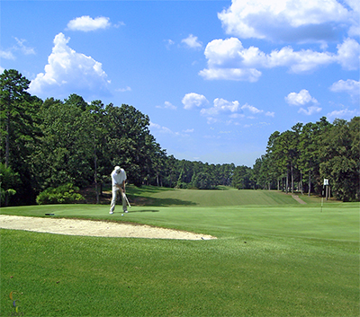 golfer on a tee