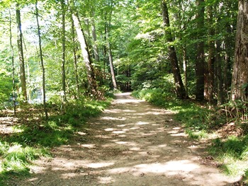 wooded trail