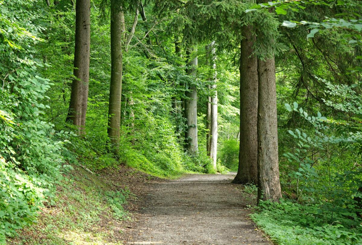 hiking trail