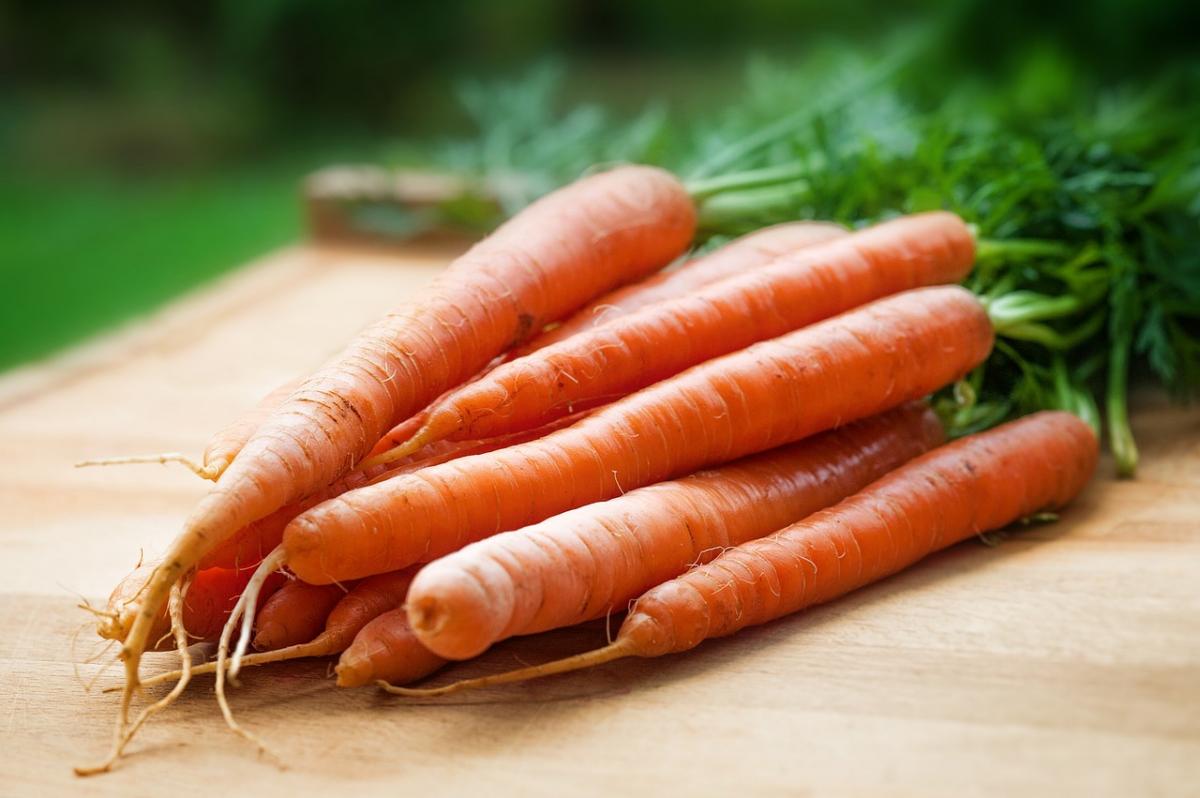 bunch of carrots