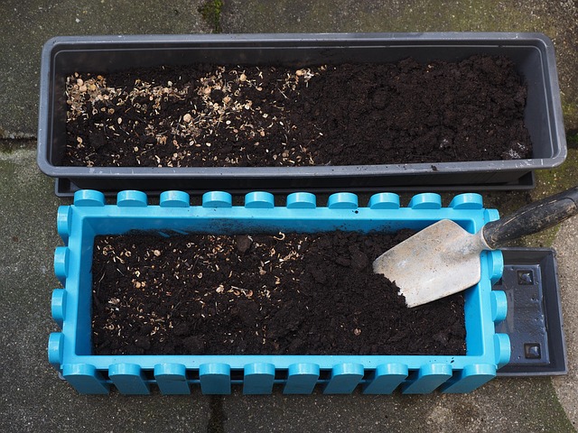flower box with dirt and seeds