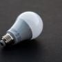 LED light bulb